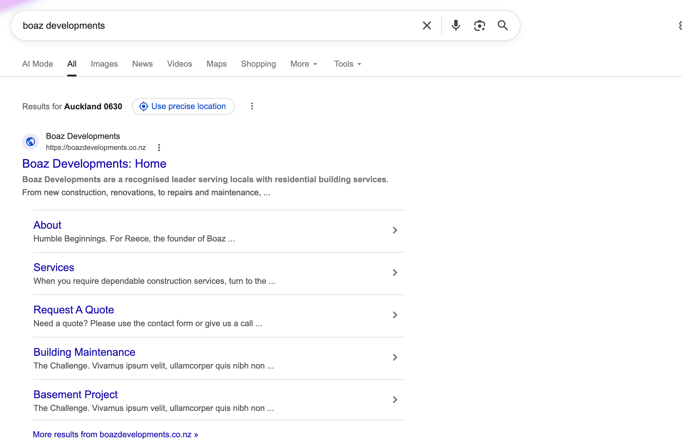 Boaz Developments on Google before. Basic search result with no business profile, no photos, no reviews.